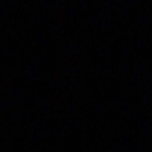 Meet your Posher, Leonardo